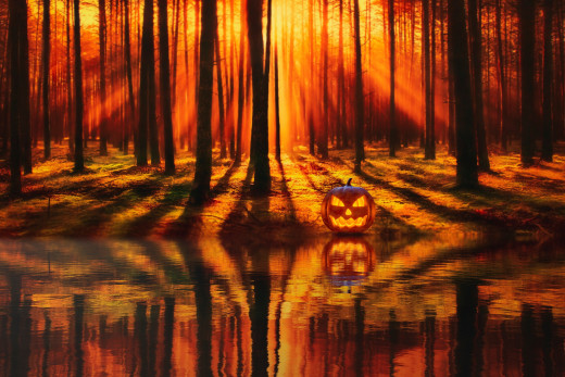 1719995 (a): :2560x1706